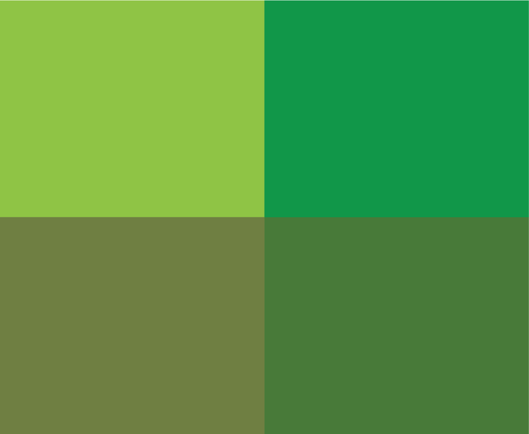 Green color swatch