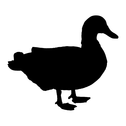 Bird type selection icon