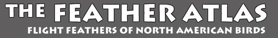 U.S. Fish and Wildlife Service Feather Atlas logo